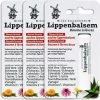 Oud Hollandsche Lippenbalsem /Lippenbalsem/calendula/echinacea/lysine/aloe/aloevera/aloe Vera/teunisbloem/vitamine E/droge Lippen/lipblaasjes/gesprongen Lippen