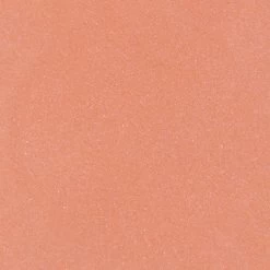 Blèzi® Lip Fix 10 Blissful Pink - Lipstick - Lippenstift Langhoudend - Roze Perzik -Mode-Cosmetica Winkel 1200x1200 241