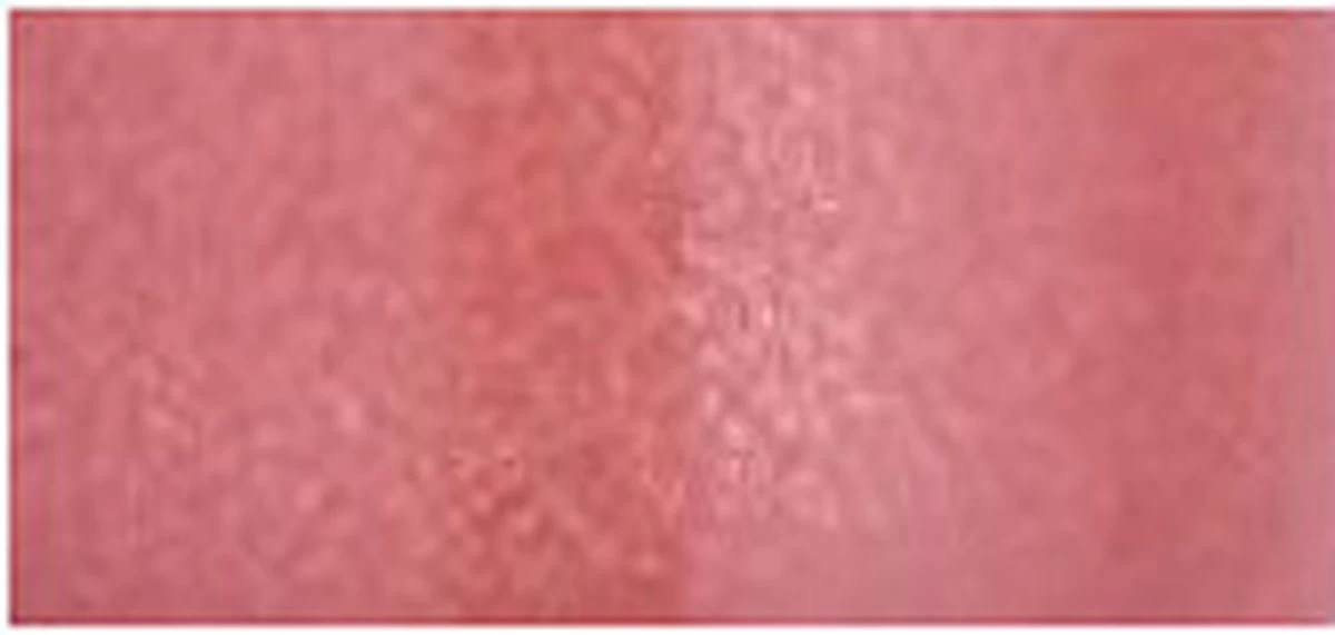 Bourjois Gloss Fabuleux Lipgloss - 4 Popular Pink 10 Bourjois Gloss Fabuleux Lipgloss - 4 Popular Pink - Afbeelding 10