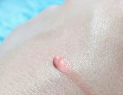 Biodermal Sun Lipbalm SPF25 - Tube 12 Ml - Natural Pink - Lippenbalsem -Mode-Cosmetica Winkel 1200x927 3